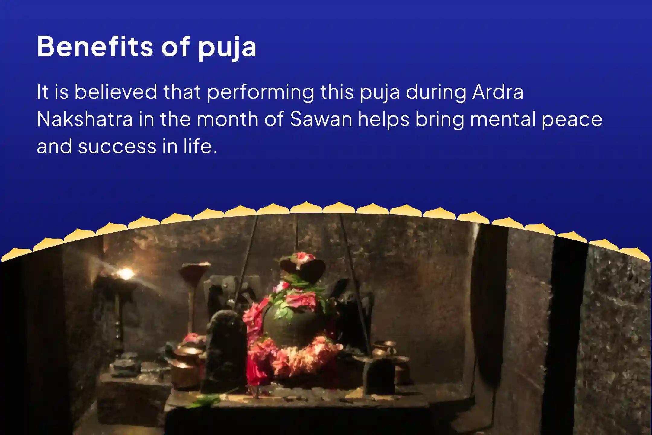 Nakshatra of Rahu Special Rahu Shanti Jaap and Havan for Blessings of Mental Stability and Success
