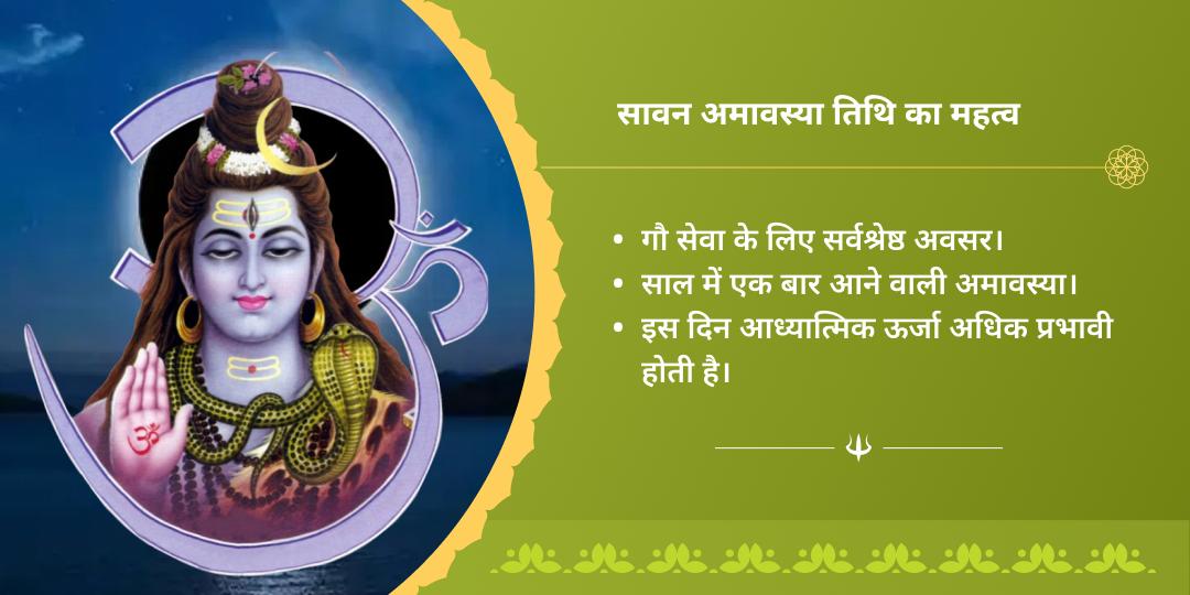 सावन अमावस्या कृष्ण नगरी वृंदावन गौसेवा