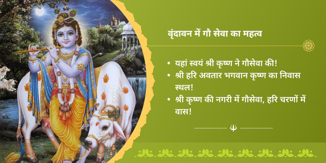 सावन अमावस्या कृष्ण नगरी वृंदावन गौसेवा