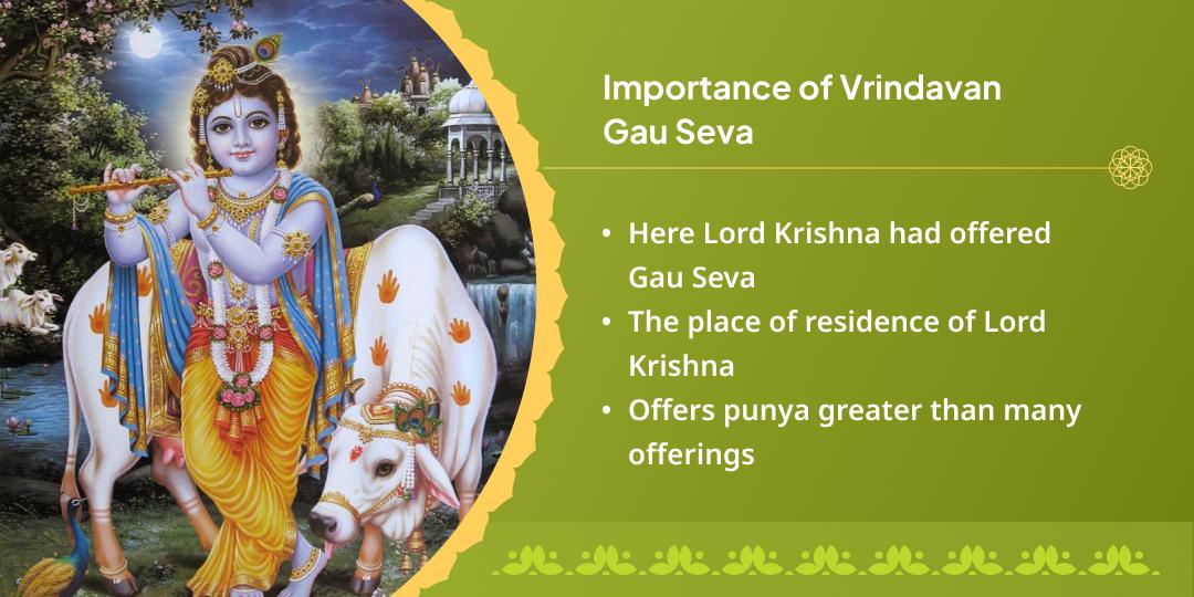 Sawan Amavasya Krishna Nagari Vrindavan Gau Seva