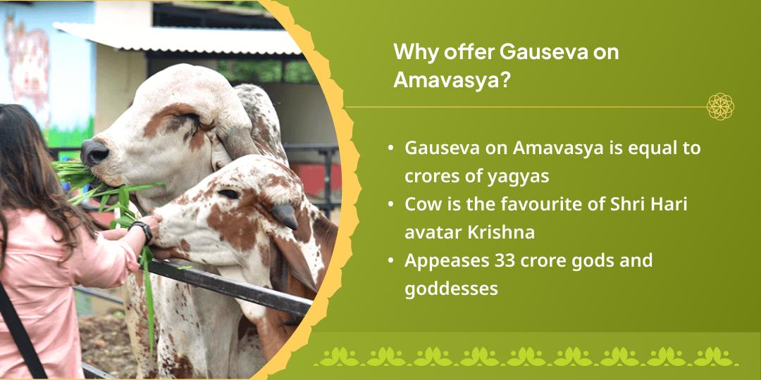 Sawan Amavasya Krishna Nagari Vrindavan Gau Seva
