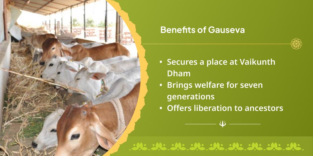 Sawan Amavasya Krishna Nagari Vrindavan Gau Seva