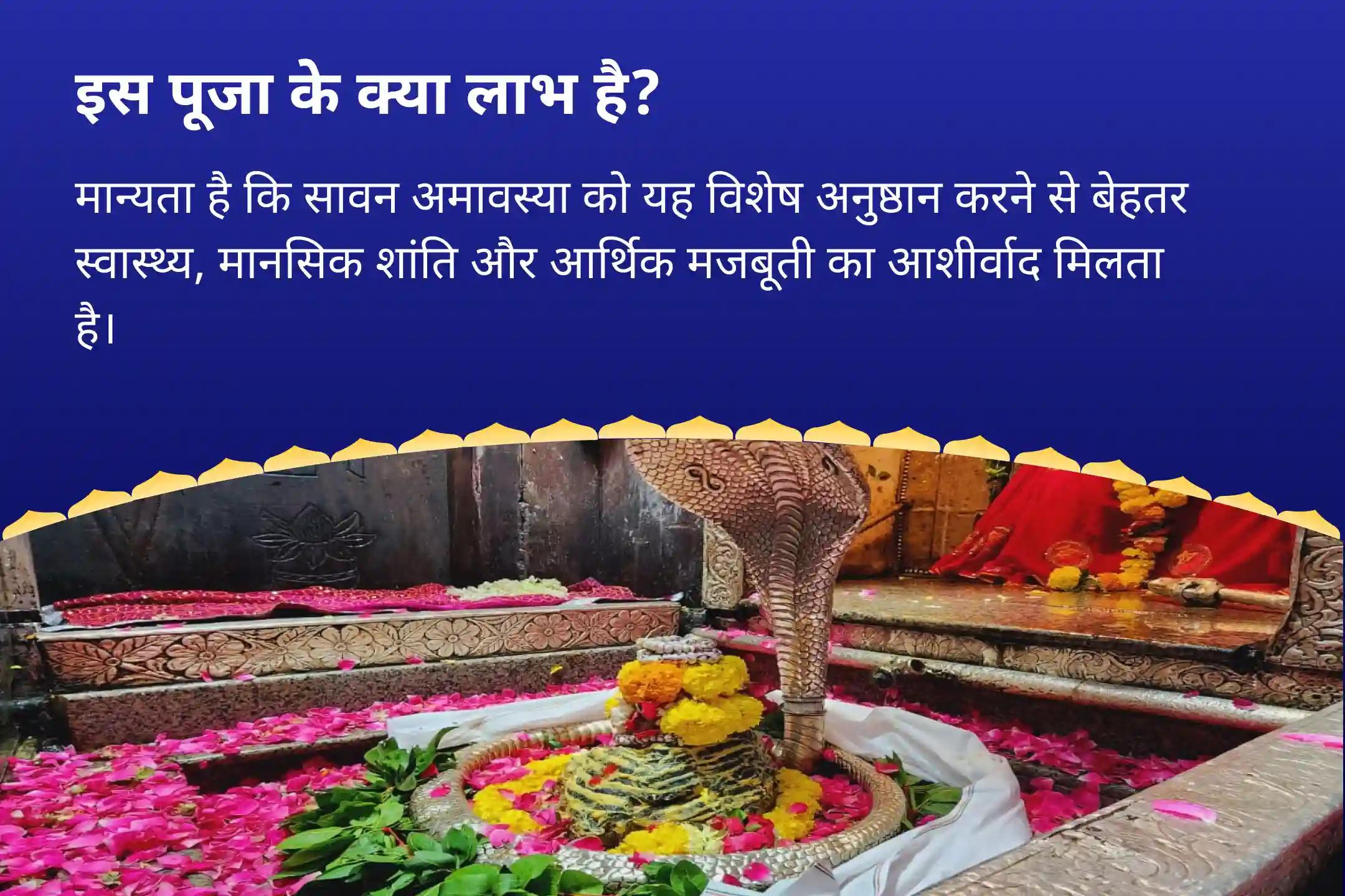 नकारात्मक शक्तियों से कवच जैसी सुरक्षा के लिए सावन अमावस्या रक्षा विशेष पूजा शिव 108 बेलपत्र रक्षा पूजा एवं काल भैरव रात्रि रक्षा यज्ञ