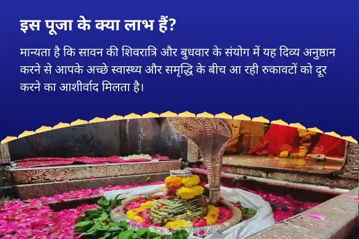 आपके अच्छे स्वास्थ्य और समृद्धि के बीच आ रही रुकावटों को दूर करने में मदद के लिए सावन शिवरात्रि शिव- गणेश विशेष पूजा शिव गणपति सिद्धि संगम 7 (निरंतर) रुद्राभिषेक + गणपति अथर्व शिव अभिषेक
