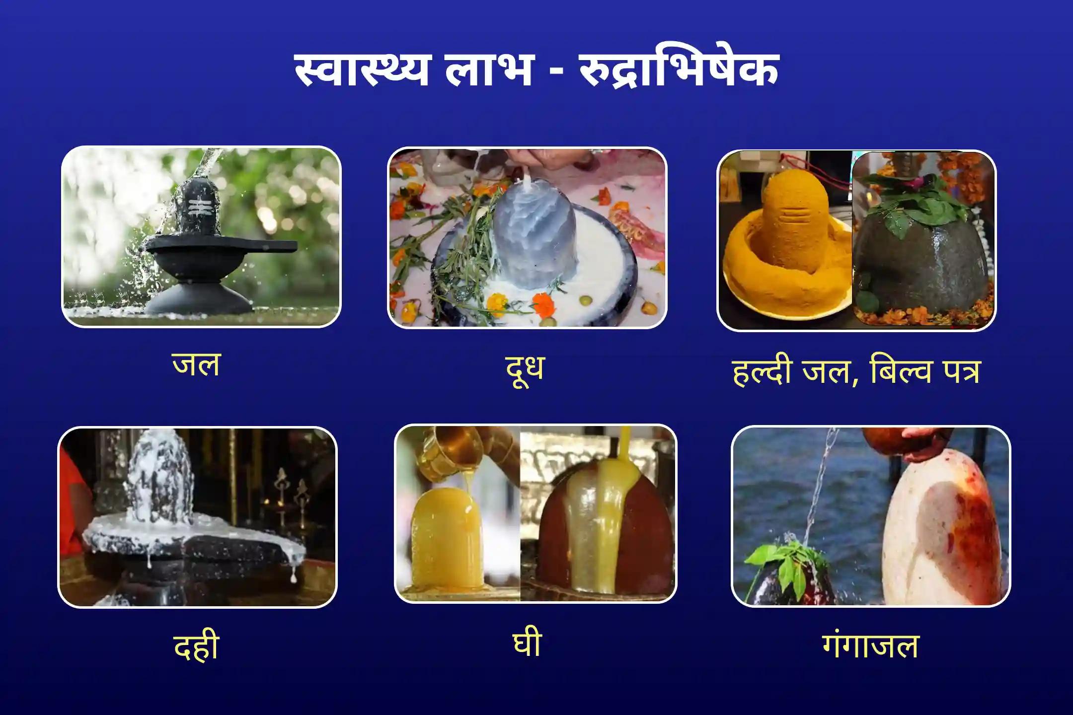 स्वास्थ्य, धन, समृद्धि के आशीर्वाद और बाधाओं से राहत के लिए सावन शिवरात्रि 21 द्रव्य ज्योतिर्लिंग महारुद्राभिषेक 21 द्रव्य महा रुद्राभिषेक एवं 1 लाख 8 शिव पंचाक्षरी मंत्र जाप
