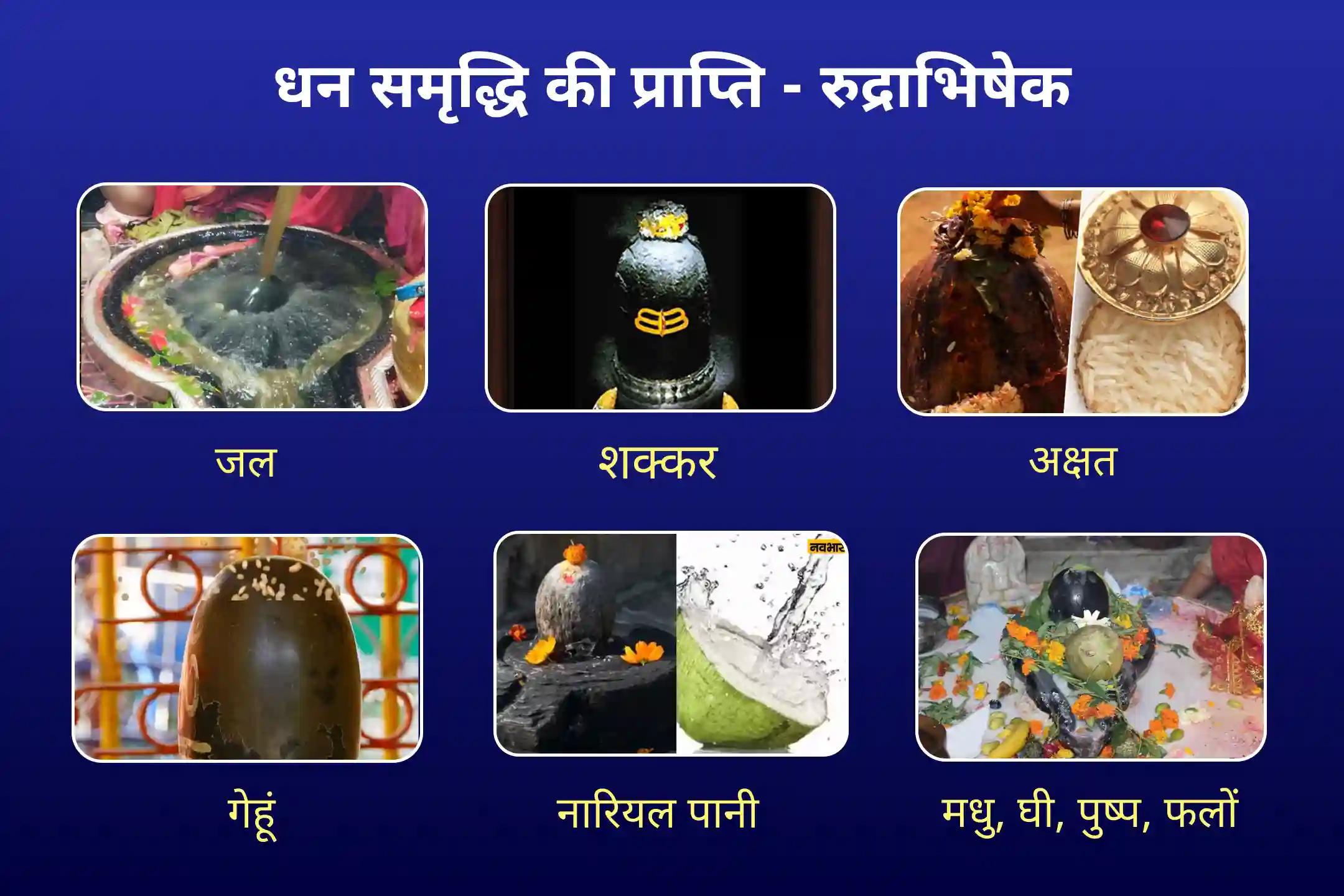 स्वास्थ्य, धन, समृद्धि के आशीर्वाद और बाधाओं से राहत के लिए सावन शिवरात्रि 21 द्रव्य ज्योतिर्लिंग महारुद्राभिषेक 21 द्रव्य महा रुद्राभिषेक एवं 1 लाख 8 शिव पंचाक्षरी मंत्र जाप