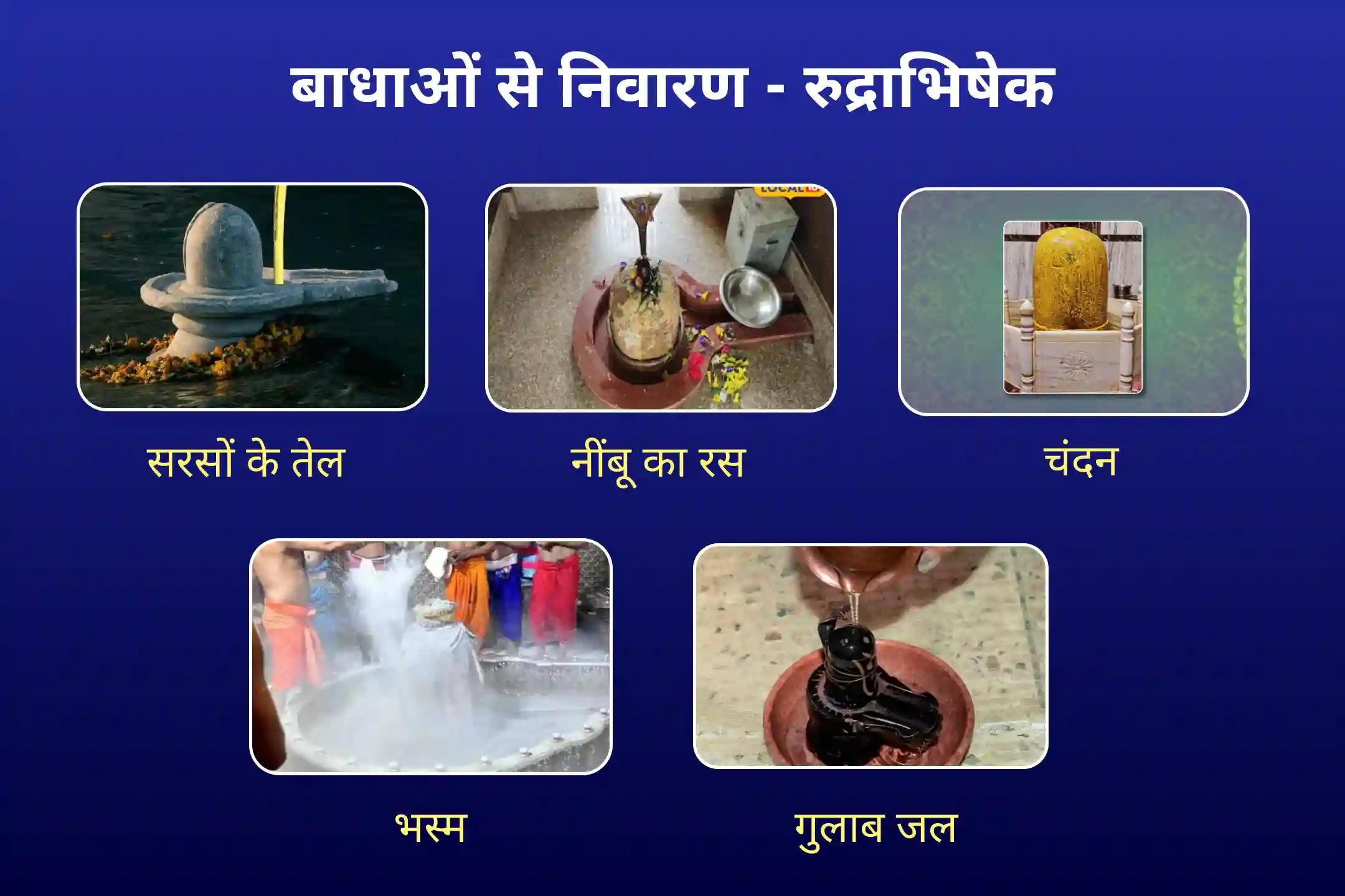 स्वास्थ्य, धन, समृद्धि के आशीर्वाद और बाधाओं से राहत के लिए सावन शिवरात्रि 21 द्रव्य ज्योतिर्लिंग महारुद्राभिषेक 21 द्रव्य महा रुद्राभिषेक एवं 1 लाख 8 शिव पंचाक्षरी मंत्र जाप