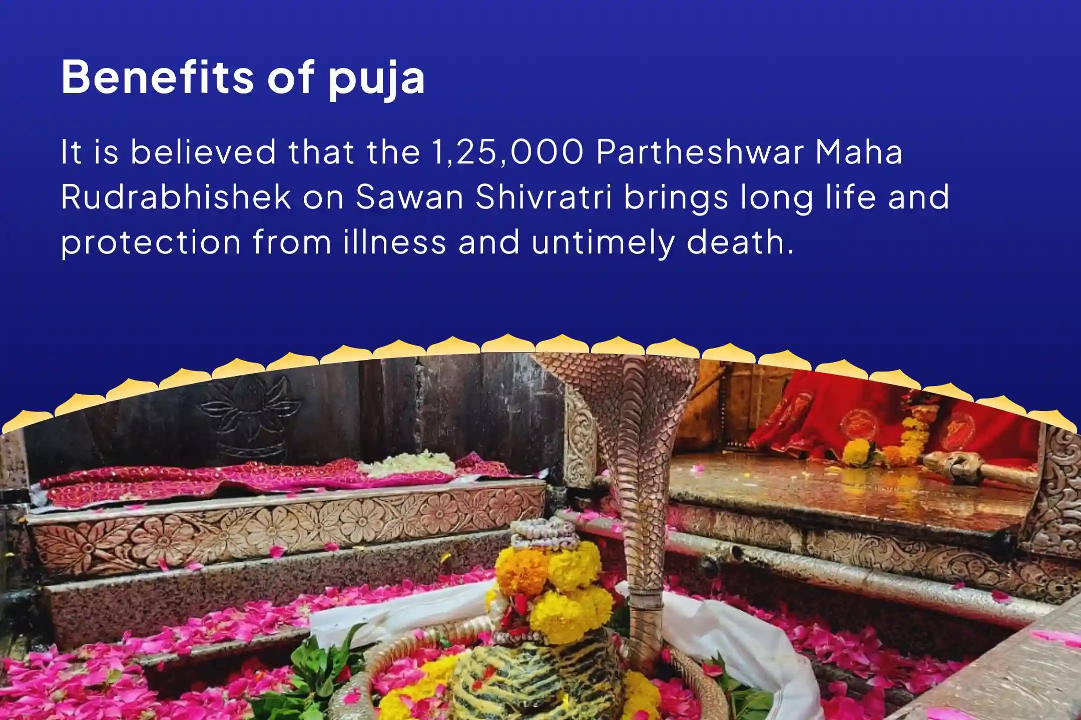Sawan Shivratri 11 Brahmin Special 1.25 Lakh Partheshwar Rudrabhishek at Omkareshwar Jyotirlinga For Healing, Longevity, and Protection From Illness and Untimely Death