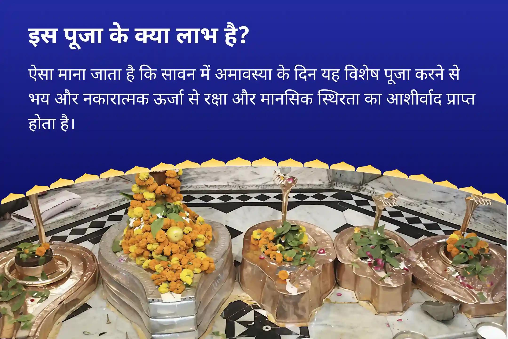 निडरता और मानसिक स्थिरता प्राप्त करने के लिए सावन अमावस्या नाग वासुकी विशेष काल सर्प दोष शांति पूजा एवं शिव रुद्राभिषेक