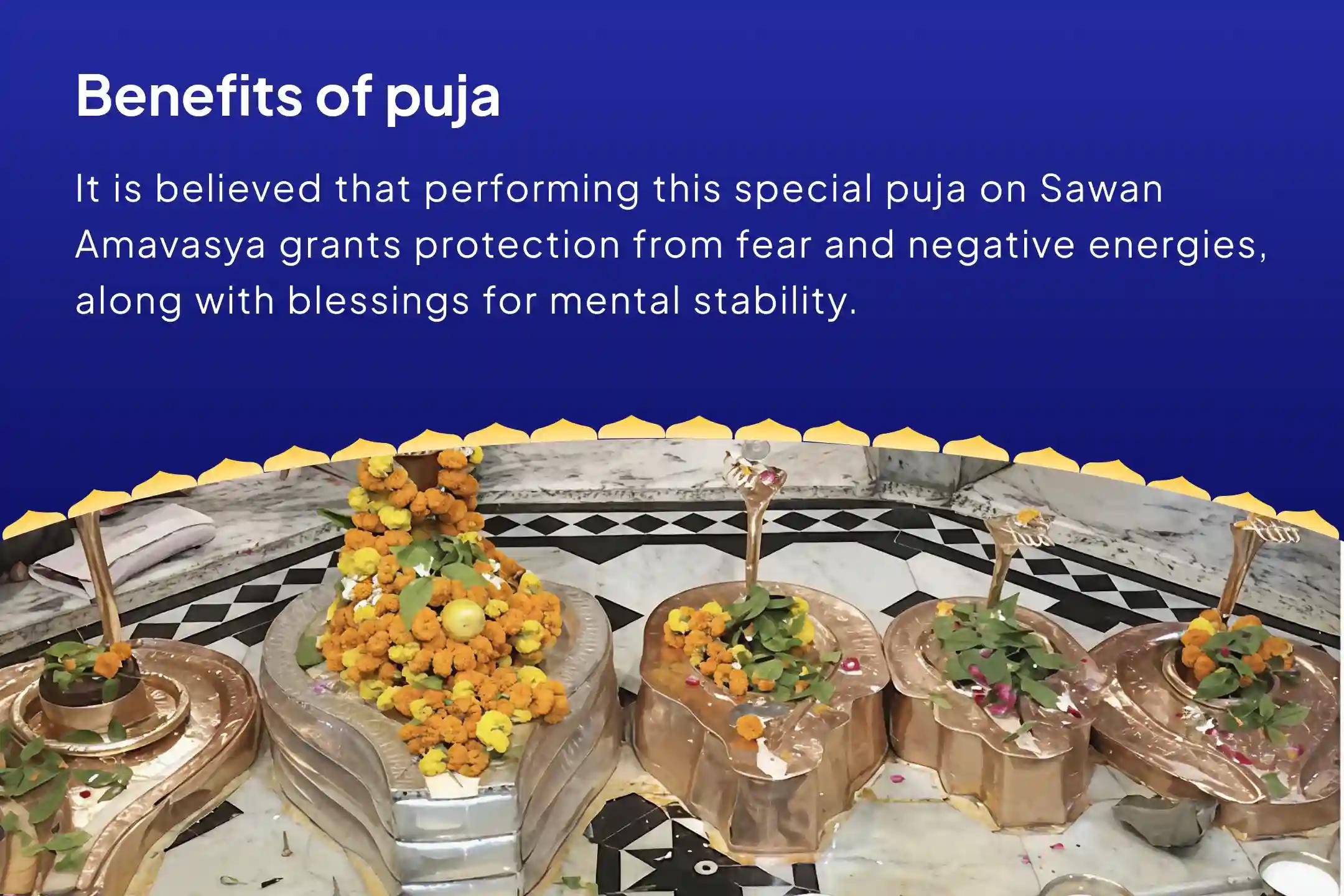 Sawan Amavasya Naag Vasuki Special Kaal Sarp Dosh Shanti Puja and Shiv Rudrabhishek For Fearlessness and Achieving Mental Stability