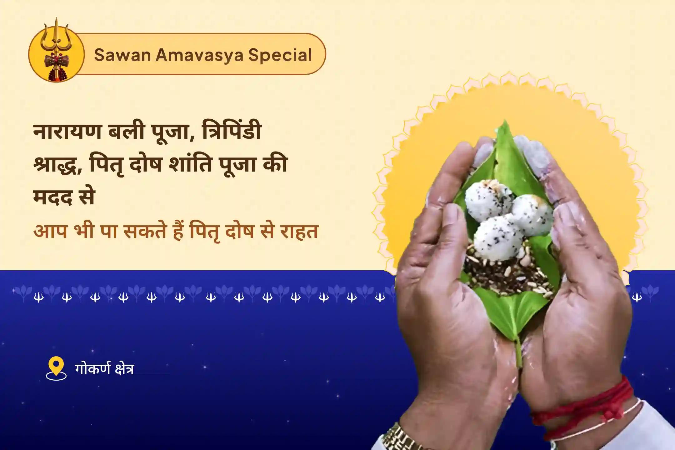 पितृ दोष से मुक्ति और पितरों की आत्मा की शांति हेतु सावन अमावस्या दक्षिण काशी गोकर्ण तीर्थ क्षेत्र विशेष नारायण बली पूजा, त्रिपिंडी श्राद्ध, पितृ दोष शांति पूजा