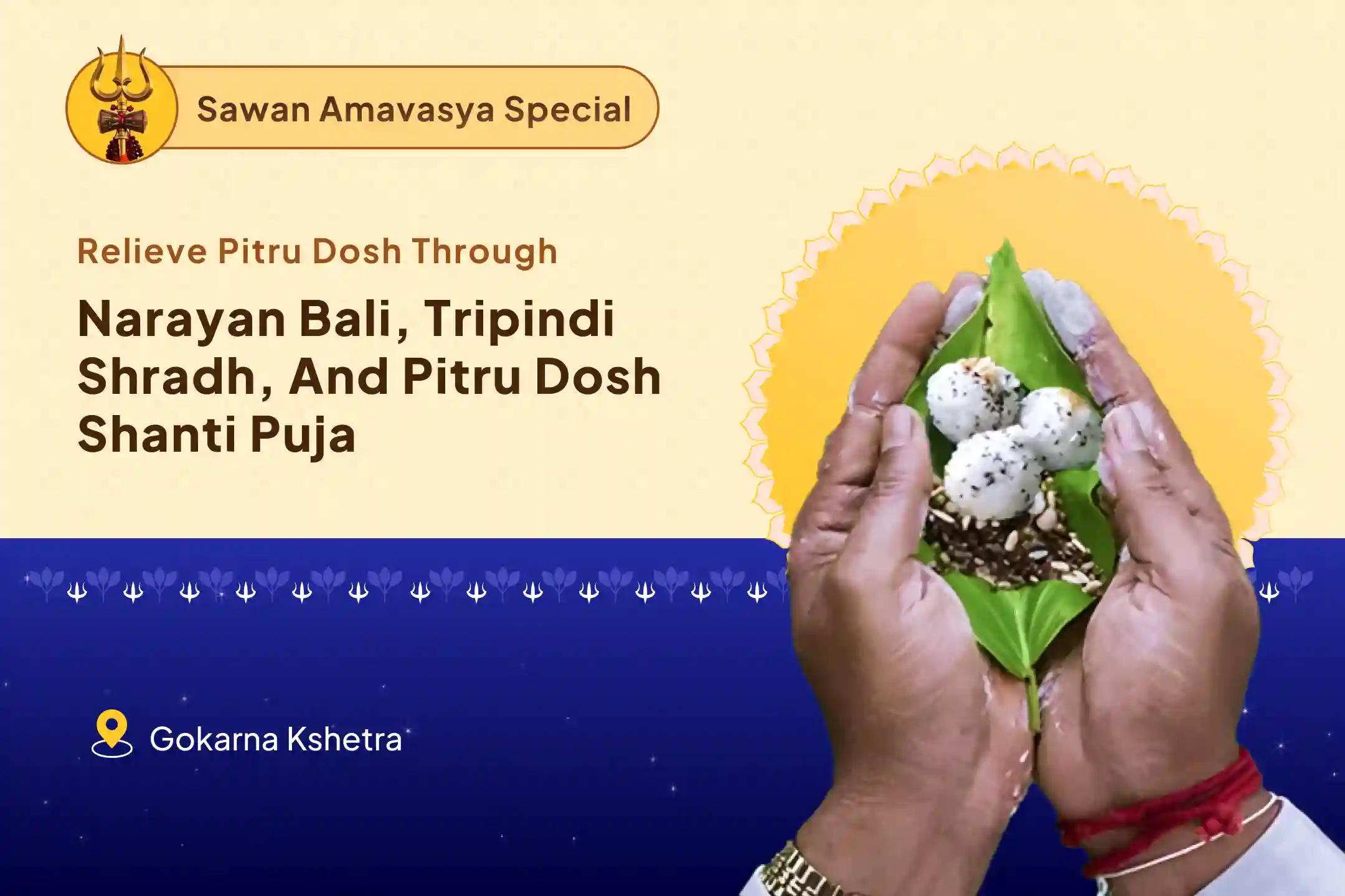 Sawan Amavasya 'Dakshin Kashi' Gokarna Teerth Kshetra Special Narayan Bali Puja, Tripindi Shradh Pitru Dosh Shanti Puja To Relieve Ancestral Curse and Bring Peace For Departed Souls