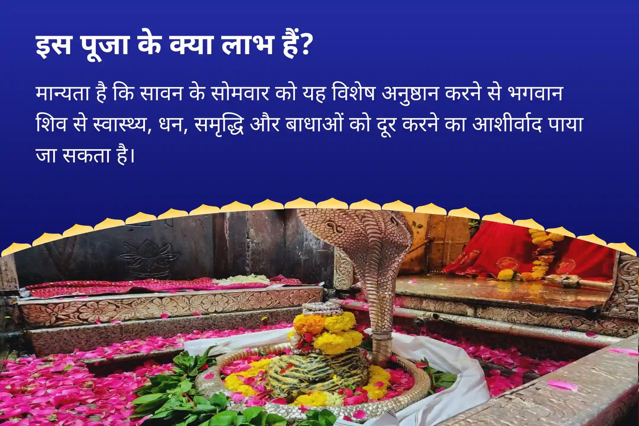 स्वास्थ्य, धन, समृद्धि और बाधाओं को दूर करने के आशीर्वाद के लिए सावन सोमवार 21 द्रव्य ज्योतिर्लिंग महारुद्राभिषेक 21 द्रव्य महा रुद्राभिषेक एवं 1,00,008 शिव पंचाक्षरी मंत्र जाप