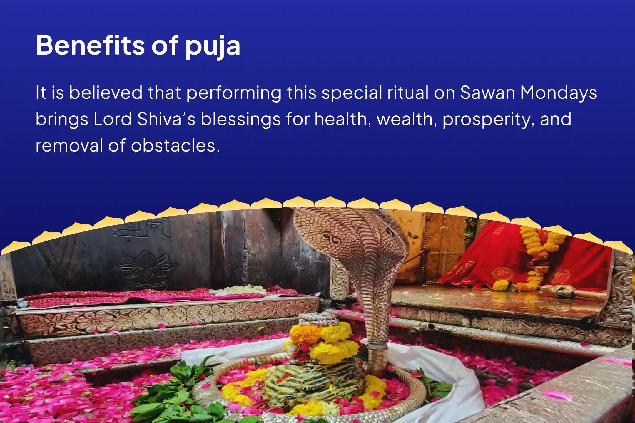 Sawan Somwar 21-Dravya Jyotirlinga Maha Rudrabhishek and 1,00,008 Shiva Panchakshari Mantra Japa For blessings of health, wealth, prosperity, and removal of obstacles