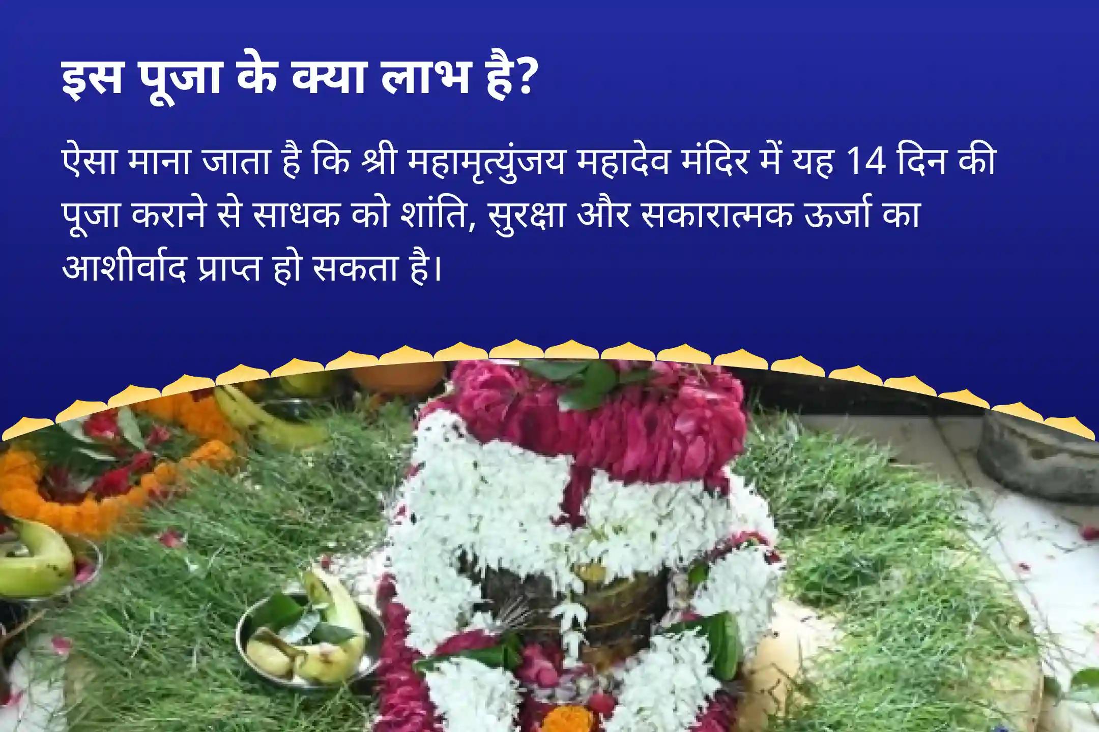 शांति, सुरक्षा और सकारात्मकता के लिए आशीर्वाद प्राप्त करें सावन विशेष - आखिरी 14 दिवसीय पूजा सावन 14 दिन दैनिक रुद्राभिषेक (14 दिवसीय शिव अर्चना)