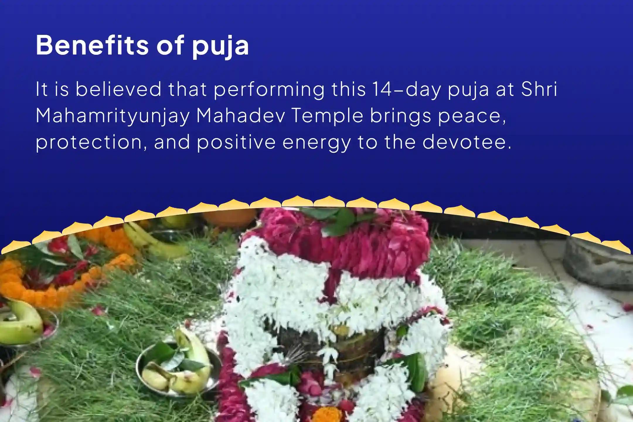 Sawan Special – Final 14-Day Puja Sawan 14-Day Daily Rudrabhishek (14-Day Shiva Archana) Receive blessings for peace, protection, and positivity