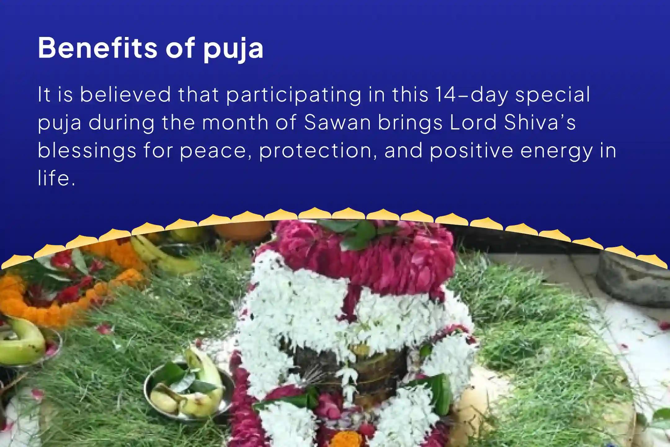 Sawan Special – Final 14-Day Puja Sawan Akhand Shivarchan: 14 Days of Daily Rudrabhishek and 1.25 Lakh Panchakshari Chanting Seek blessings for peace, protection, and positivity
