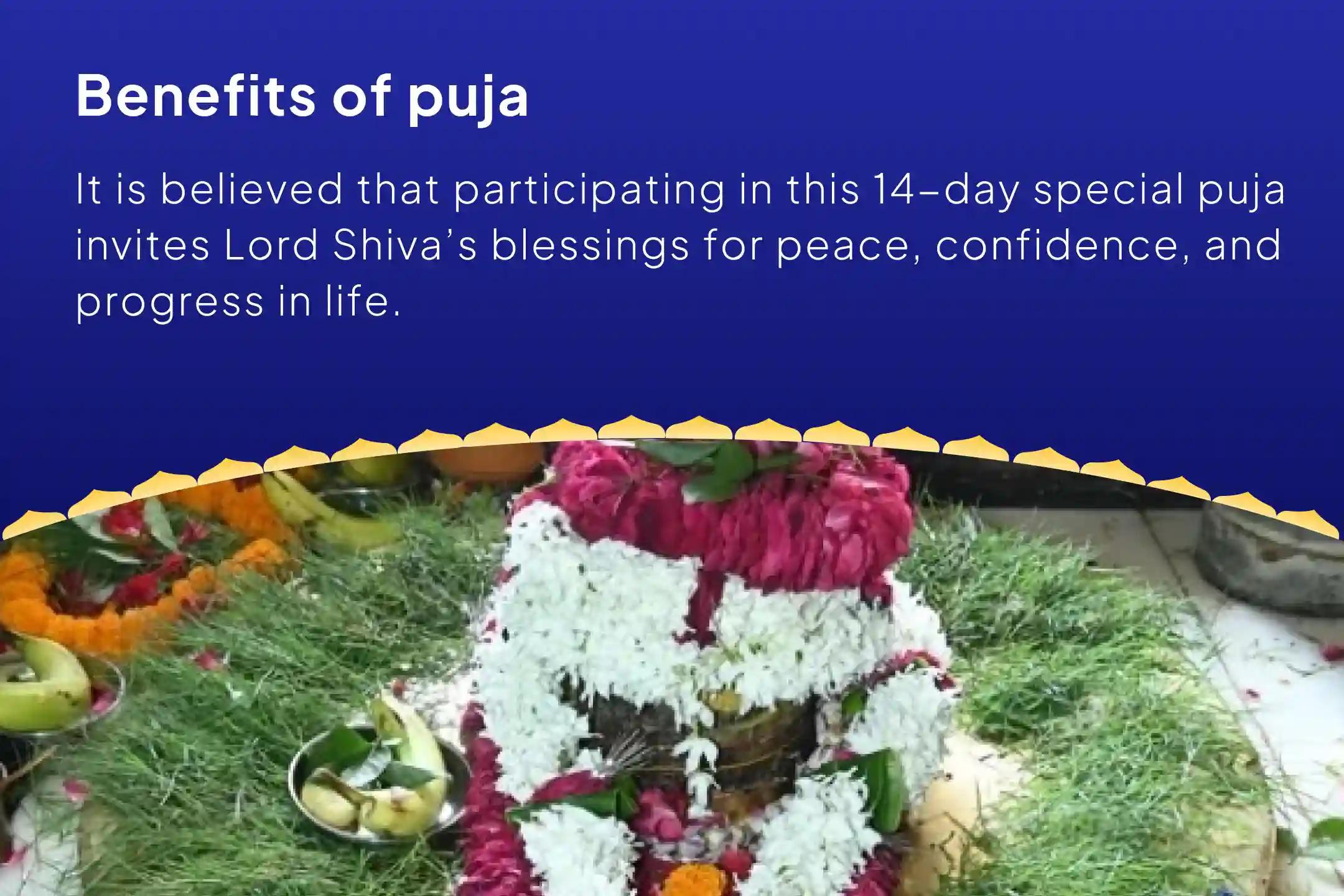 Sawan Special – Final 14-Day Worship 14-Day Daily – 1.25 Lakh Shiva Panchakshari Mantra Japa and Havan Seek Lord Shiva’s blessings for peace, confidence, and growth in all areas of life