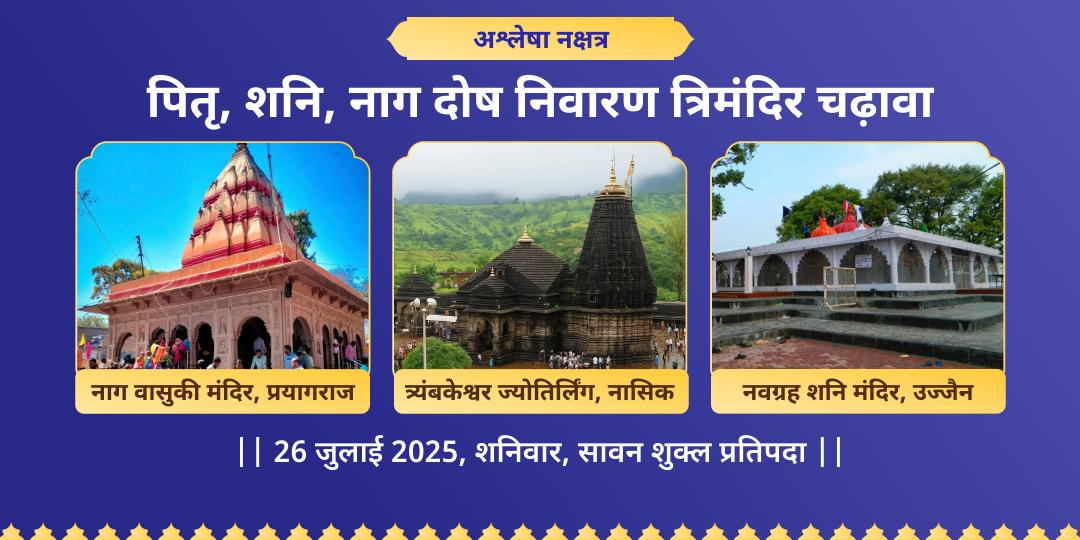 अश्लेषा नक्षत्र पितृ, शनि, नाग दोष निवारण चढ़ावा