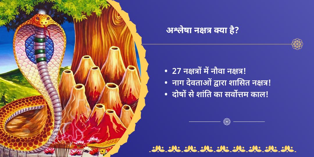 अश्लेषा नक्षत्र पितृ, शनि, नाग दोष निवारण चढ़ावा