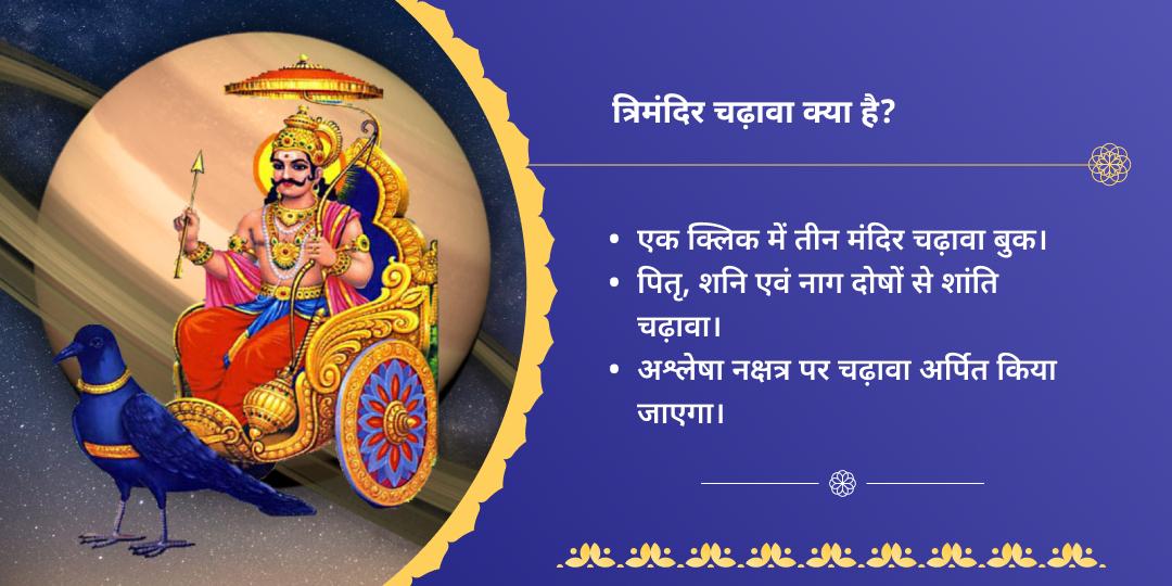 अश्लेषा नक्षत्र पितृ, शनि, नाग दोष निवारण चढ़ावा