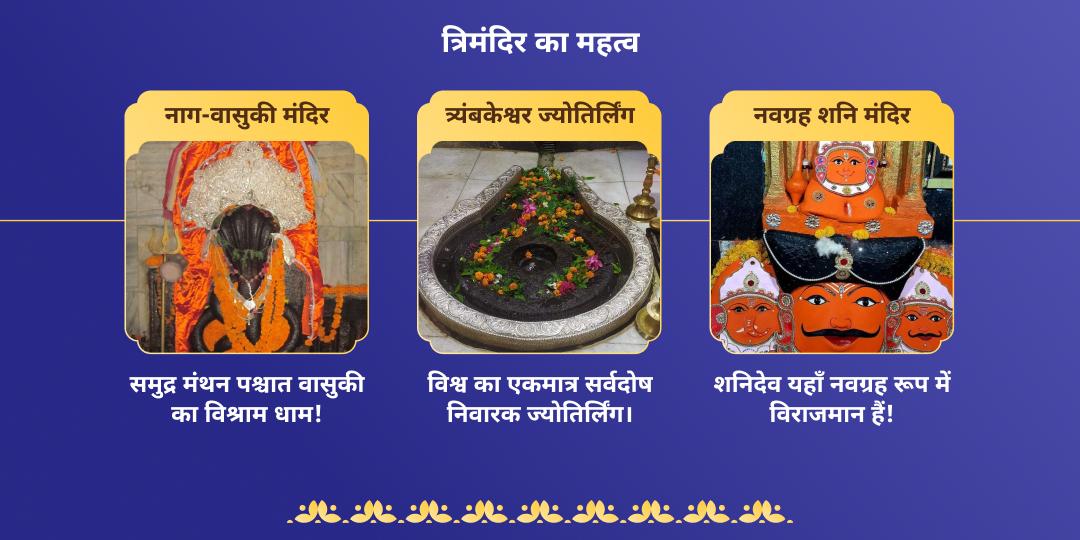 अश्लेषा नक्षत्र पितृ, शनि, नाग दोष निवारण चढ़ावा