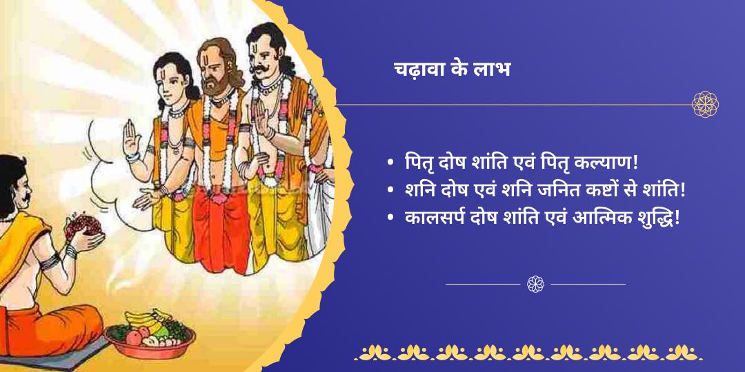 अश्लेषा नक्षत्र पितृ, शनि, नाग दोष निवारण चढ़ावा