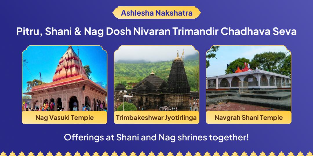Offer Chadhava on Rare Ashlesha Nakshatra + Saturday Yog at 3 Powerful Temples: Nag Vasuki, Trimbakeshwar  & Navgrah Shani