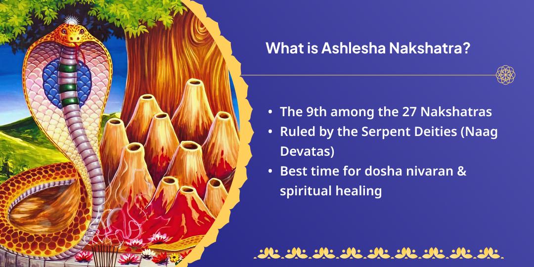 Ashlesha Nakshatra Pitru, Shani, Nag Dosh Nivaran Chadhava