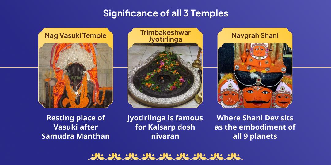 Ashlesha Nakshatra Pitru, Shani, Nag Dosh Nivaran Chadhava