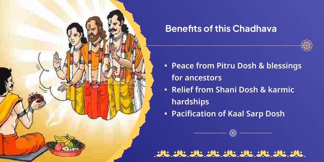 Ashlesha Nakshatra Pitru, Shani, Nag Dosh Nivaran Chadhava