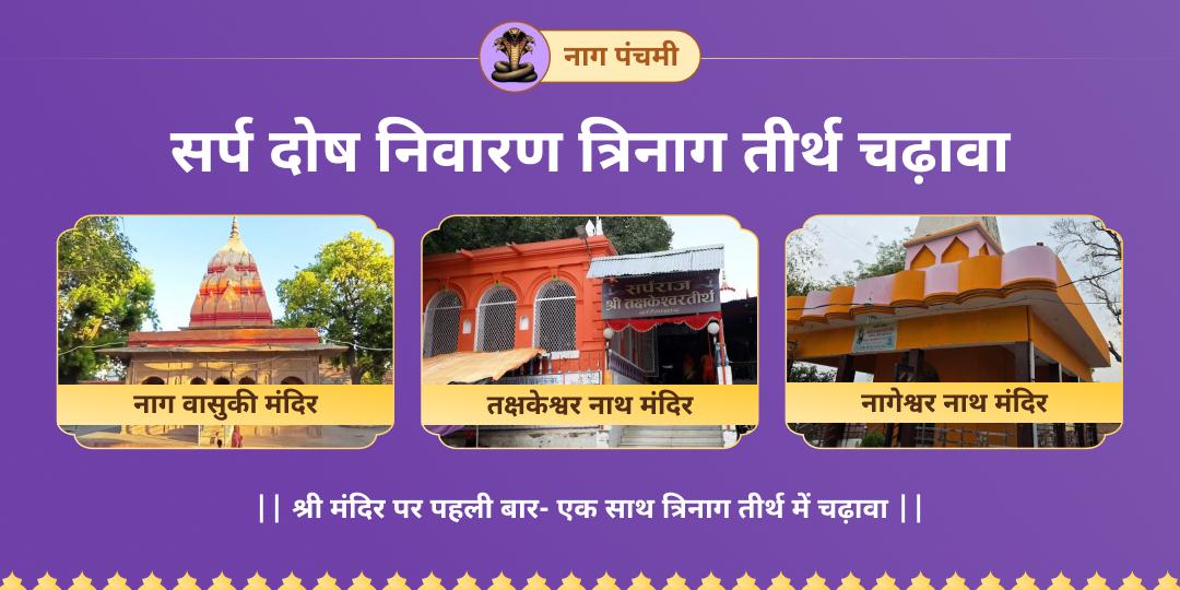 नाग पंचमी पर यज्ञभूमि प्रयागराज में स्थित नाग-वासुकी, तक्षकेश्वर नाथ एवं नागेश्वर नाथ मंदिर में महाचढ़ावा करें। 