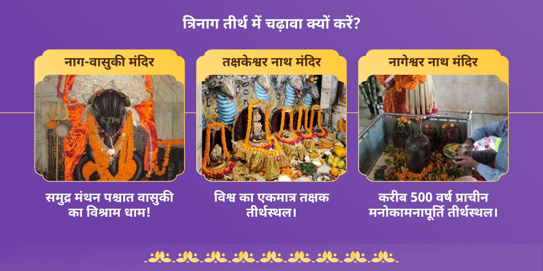 नाग पंचमी सर्प दोष निवारण त्रिनाग तीर्थ चढ़ावा
