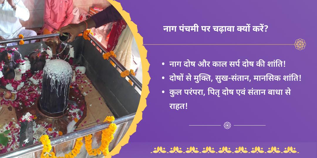 नाग पंचमी सर्प दोष निवारण त्रिनाग तीर्थ चढ़ावा
