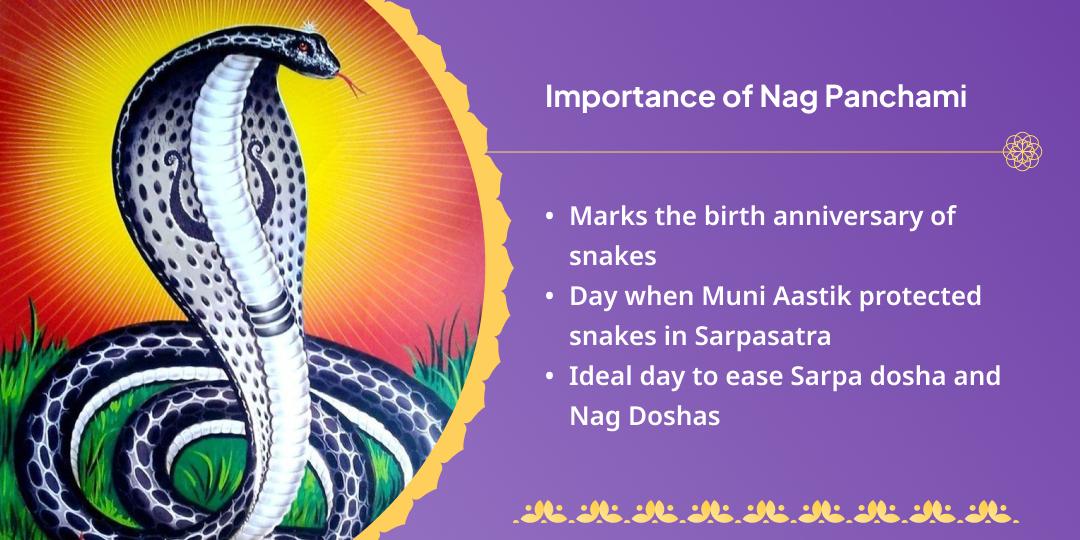 Sawan Somwar Nag Panchami Kaal Sarp-Rahu-Ketu Shanti Chadhava