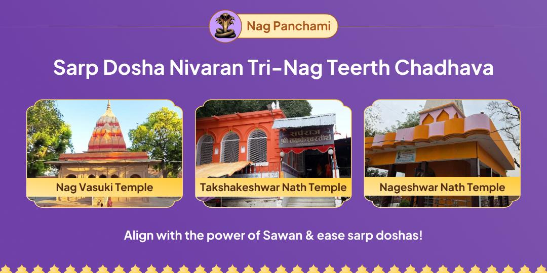 Celebrate the sacred power of Nag Panchami at Three Sacred Temples and Dissolve Sarp Doshas!
