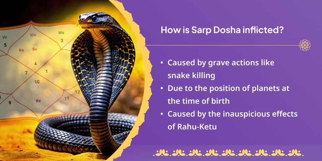 Nag Panchami Sarp Dosha Nivaran Tri-Nag Teerth Chadhava 