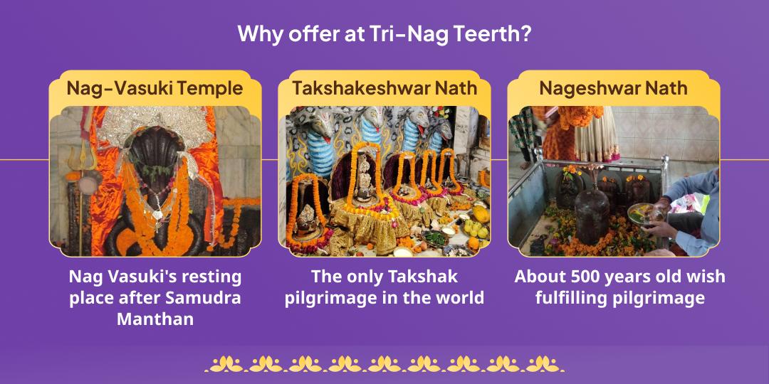 Nag Panchami Sarp Dosha Nivaran Tri-Nag Teerth Chadhava 