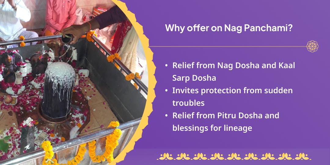 Nag Panchami Sarp Dosha Nivaran Tri-Nag Teerth Chadhava 