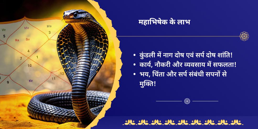नाग पंचमी तक्षकेश्वर एवं नागेश्वर महाभिषेक