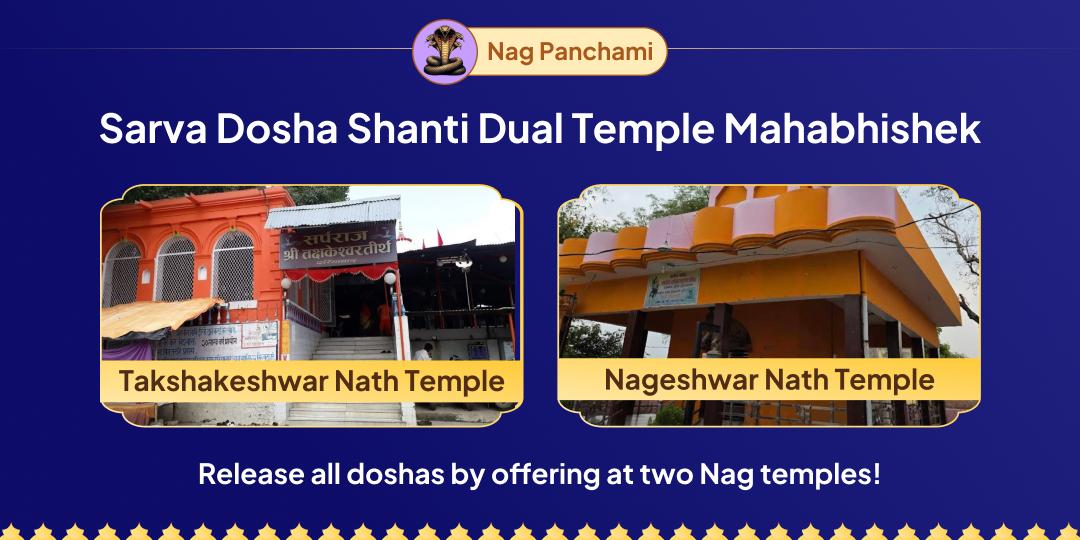 One Offering at Two Temples; Perform Nag Vasuki Mahabhishek for Complete Dosha Relief