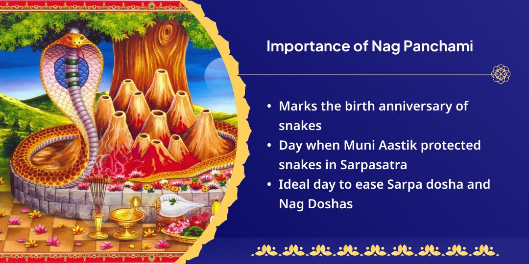 Nag Panchami Takshakeshwar and Nageshwar Mahabhishek