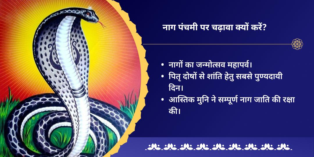 नाग पंचमी पितृ दोष निवारक तक्षकेश्वर एवं राहु चढ़ावा