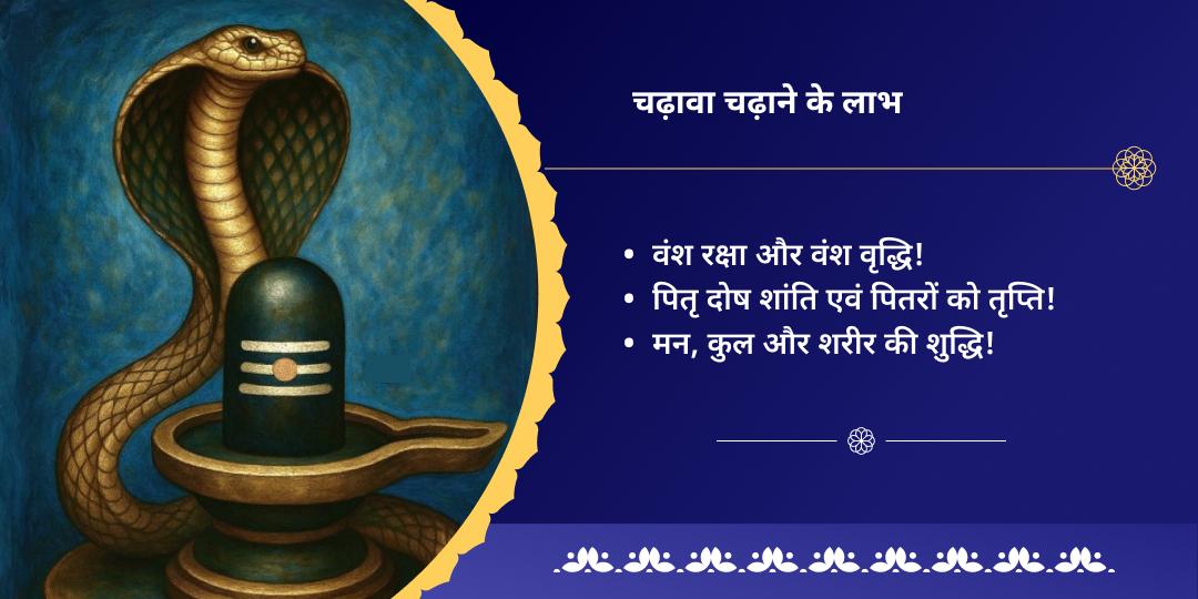 नाग पंचमी पितृ दोष निवारक तक्षकेश्वर एवं राहु चढ़ावा