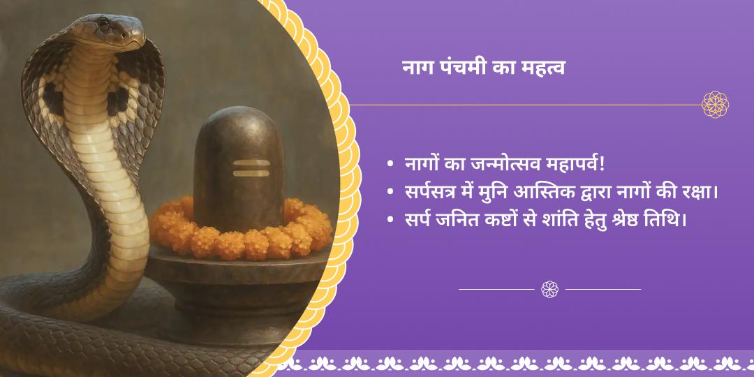 नाग पंचमी राहु दोष शांति पैंठाणी चढ़ावा