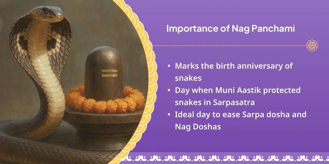 Nag Panchami Rahu Dosha Shanti Paithani Chadhava