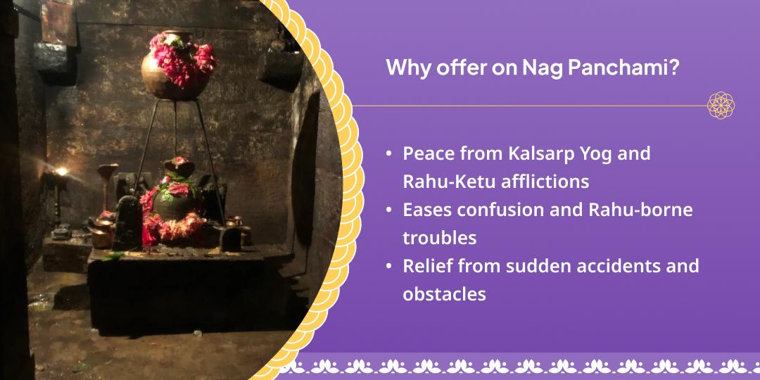 Nag Panchami Rahu Dosha Shanti Paithani Chadhava