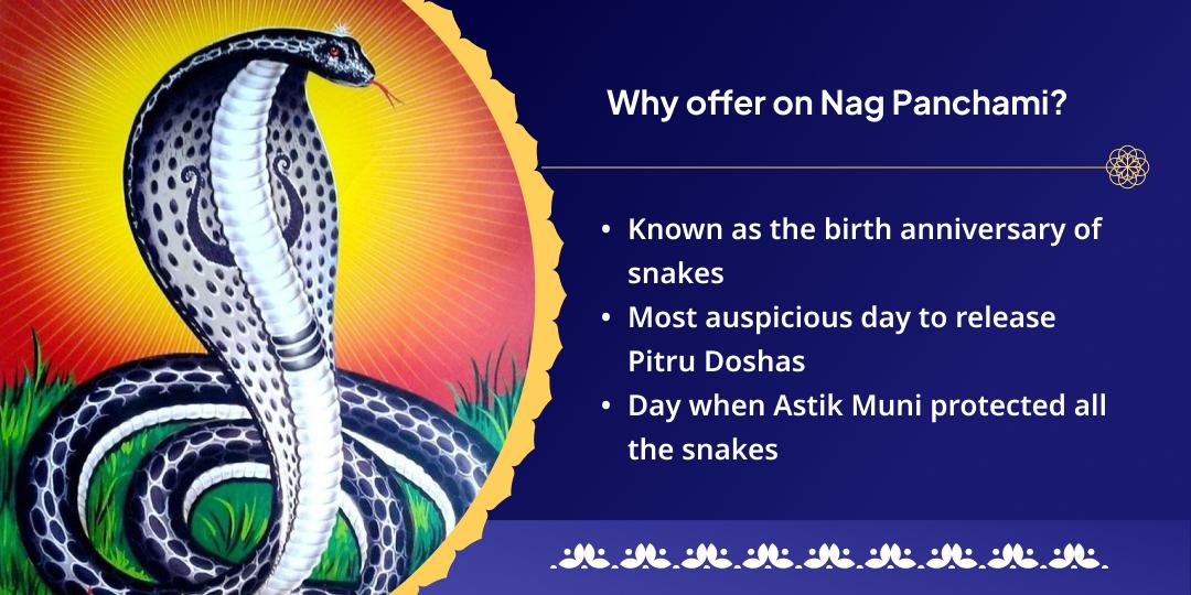 Nag Panchami Pitru Dosh Nivarak Takshakeshwar & Rahu Chadhava