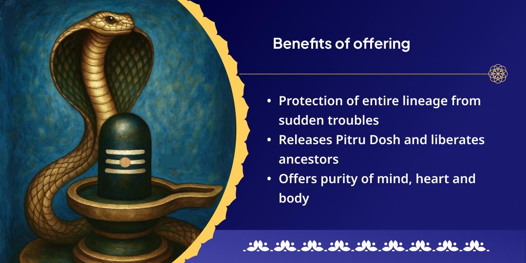 Nag Panchami Pitru Dosh Nivarak Takshakeshwar & Rahu Chadhava