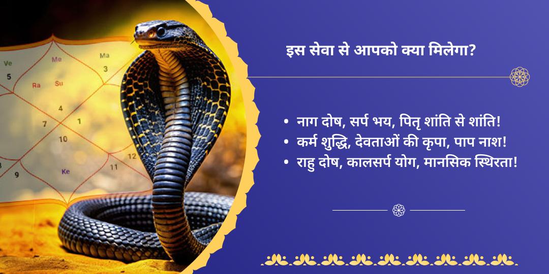 नाग पंचमी राहु-केतु-सर्प दोष शांति हवन आहुति सेवा